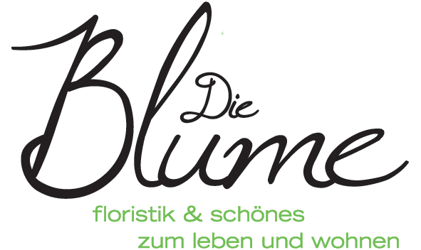 Die Blume Bamberg – Floristik & Schönes zum Leben und Wohnen