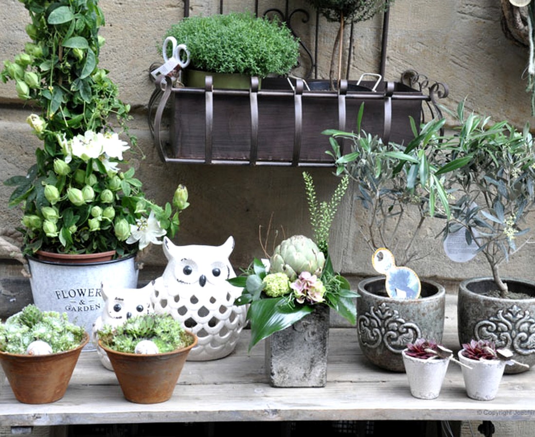 Grünes Display mit Pflanzen